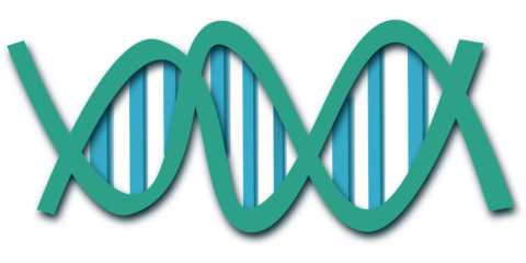 Zum Artikel "NESSI Plus – Biochemie mit eigener DNA"