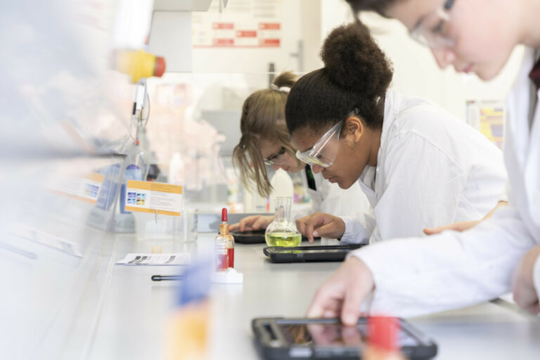 Anmeldungen für KOALa wieder möglich