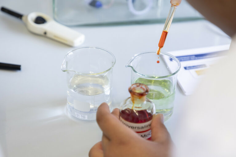 Showversuche in den alltäglichen Chemieunterricht einbetten